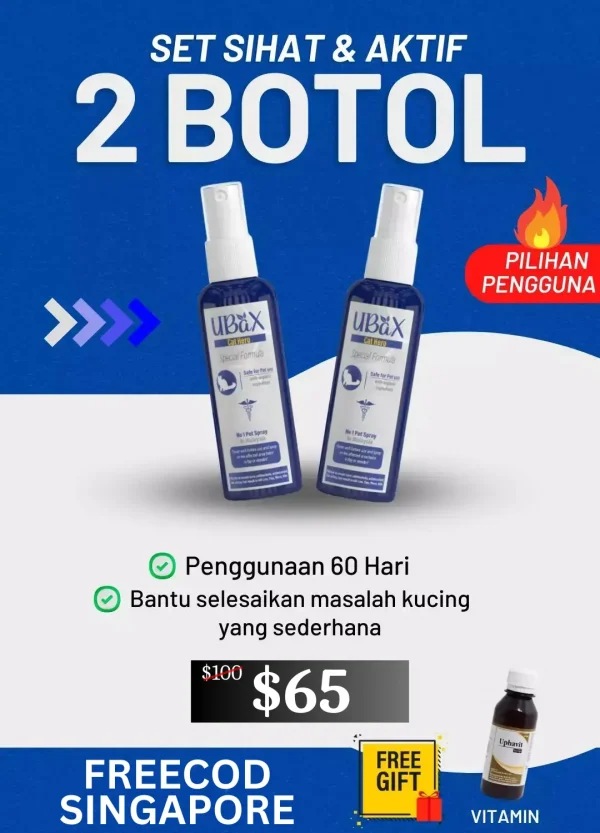 SET SIHAT 2 BOTOL